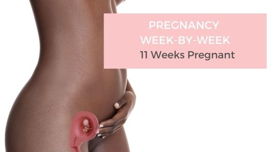 Week 11 of Your Pregnancy